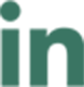 Linkedin Icon